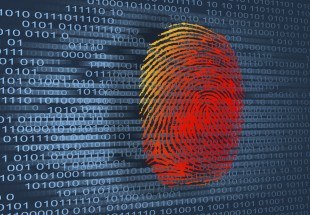 Международная выставка CARTES & IDentification